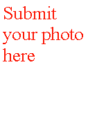 Text Box: Submit your photohere